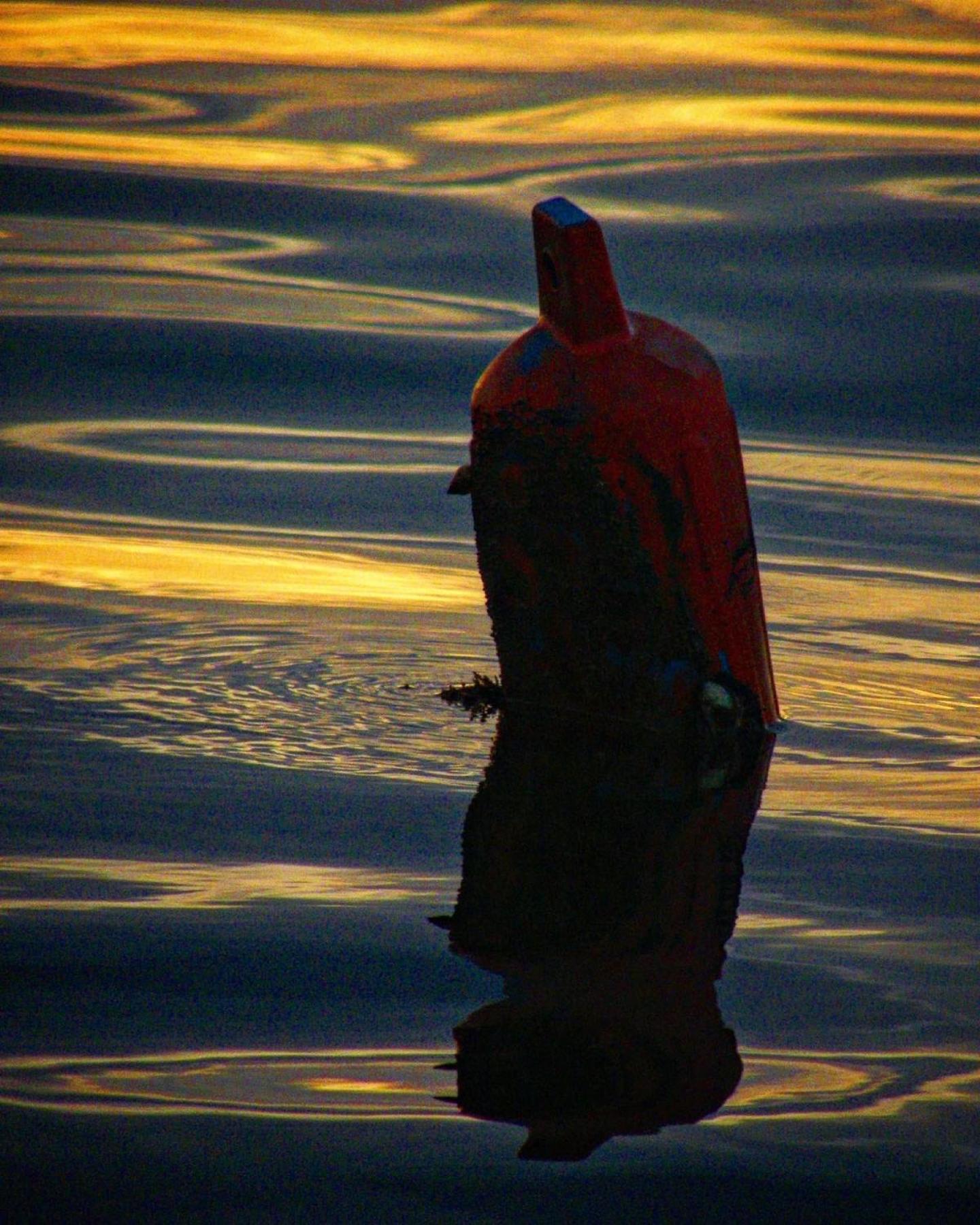 Barrbra Bnb Over The Sea Bocas del Toro Eksteriør bilde